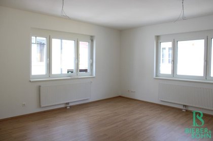 Wohnung in 2620 Neunkirchen