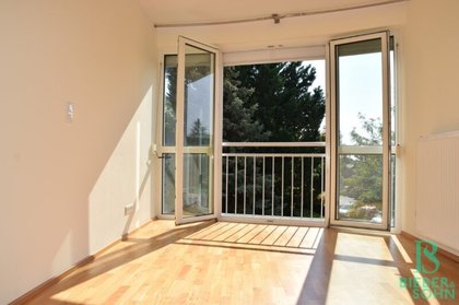 Wohnung in 2345 Brunn am Gebirge