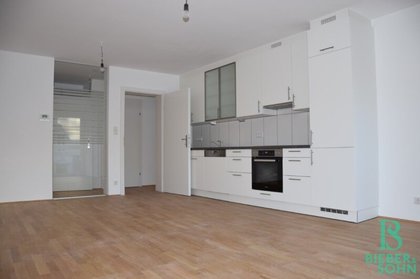 Wohnung in 1130 Wien