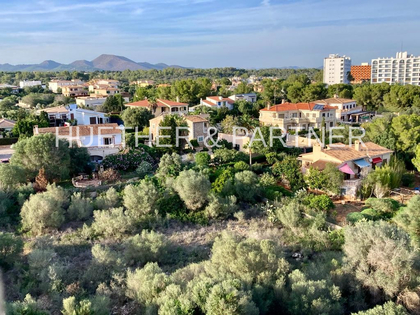 Wohnbauflächen in 07689 Cales de Mallorca
