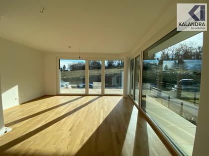 Terrassenwohnung in 1130 Wien, Wlassakstraße - KH Lainz
