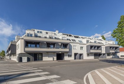 Sonstige in 1100 Wien