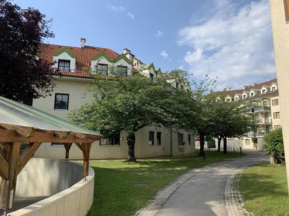 Wohnung in 3500 Krems