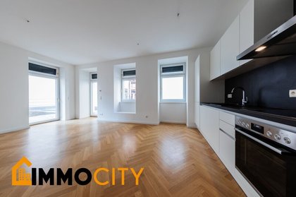 Terrassenwohnung in 1060 Wien, Mariahilfer Straße, Raimund Theater