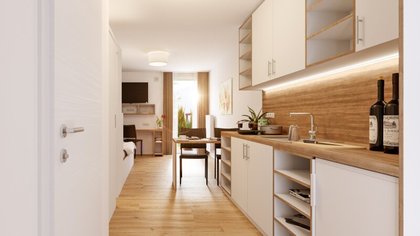 Wohnung in 3100 St. Pölten, Hauptbahnhof, Innenstadt, Landhausviertel, Universitätsklinikum, Museum, Kaserne, Landesgericht, Fachhochschule, HTL, WIFI, Park