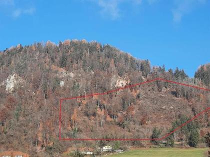 Jagd- und Forstwirtschaft in 9371 Brückl