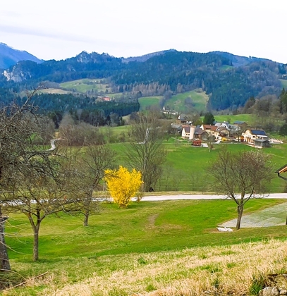 Einfamilienhaus in 2761 Miesenbach
