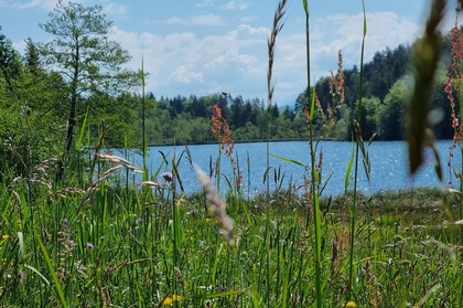 Grundstück in 9220 Velden am Wörther See, Kärnten
