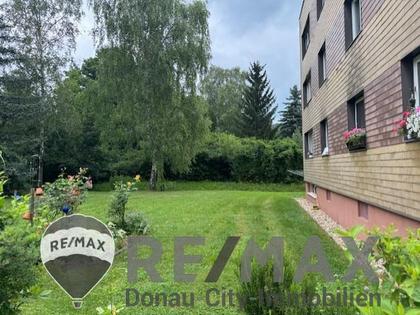 Wohnung in 2384 Breitenfurt bei Wien, Wienerwald, Stadtrand v. Wien