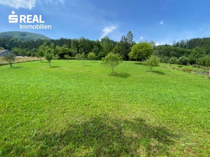 Wohnbauflächen in 3335 Weyer