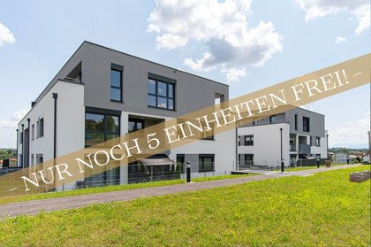 Wohnung in 4531 Kematen an der Krems