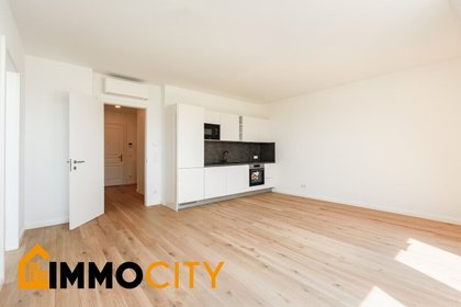 Terrassenwohnung in 1100 Wien