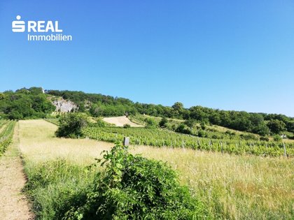 Sonstige in 2352 Gumpoldskirchen, Veigl Hütte
