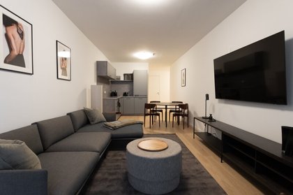 Terrassenwohnung in 1010 Wien