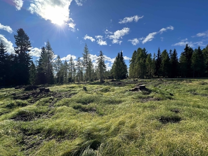 Sonderbauland in 9571 Albeck/Hochrindl