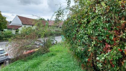 Wohnbauflächen in 3252 Petzenkirchen, Wieselburg, Ybbs