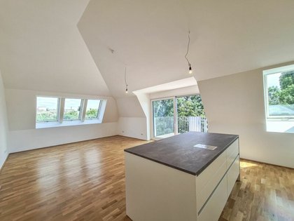 Terrassenwohnung in 1190 Wien, Pyrkergasse