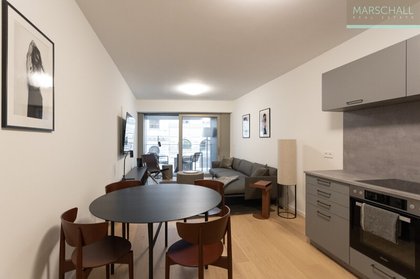 Terrassenwohnung in 1010 Wien, Donaukanal