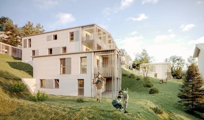 Wohnung in 5752 Viehhofen
