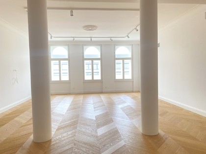 Terrassenwohnung in 1010 Wien, 1010 - Innere Stadt