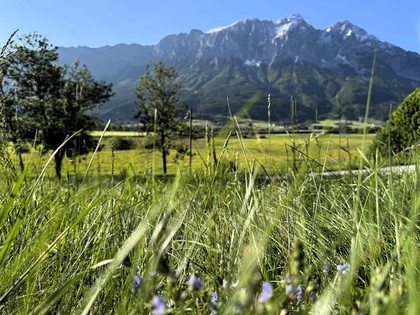 Grundstück in 8960 Niederöblarn