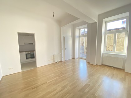 Terrassenwohnung in 1100 Wien, 1100 - Favoriten