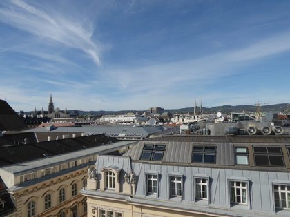 Wohnung in 1010 Wien, Kohlmarkt