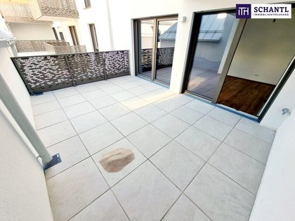 Terrassenwohnung in 1230 Wien