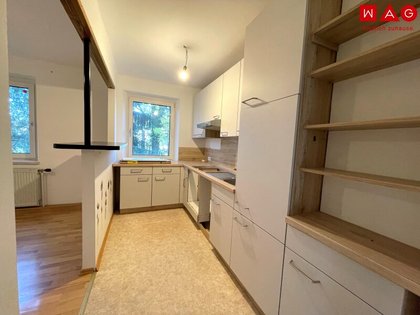 Wohnung in 3160 Traisen, - Einkaufsmöglichkeiten (Gratisbus 2mal pro Woche ins Zentrum) - Arzt - Schule, Kindergarten, Cafe, Bank, Spielplatz, Bushaltestelle - Sehr ruhige und geschützte Lage in kleiner Siedlung - vi