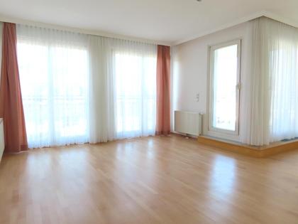 Terrassenwohnung in 1130 Wien, Hörndlwald - Roter Berg