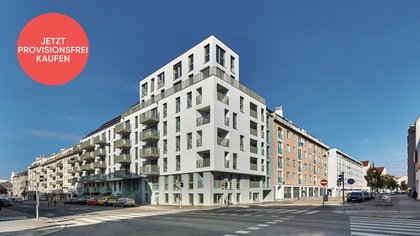 Terrassenwohnung in 1120 Wien, Wienfluss, Nähe U6 und U4