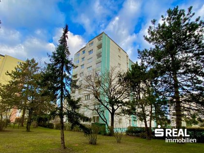 Terrassenwohnung in 4600 Wels