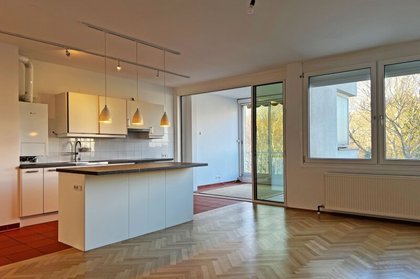 Terrassenwohnung in 1130 Wien, Roter Berg, Hietzinger Hauptstraße