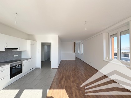 Wohnung in 4470 Enns, Neugablonz