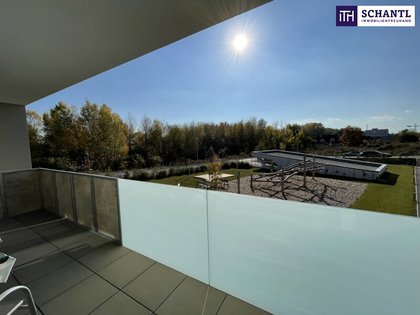 Terrassenwohnung in 2700 Wr. Neustadt, Pottendorfer Straße, Eggendorfer Gasse, Lichtenwörther Gasse, Warme Fischa, Wiener Neustädter Kanal