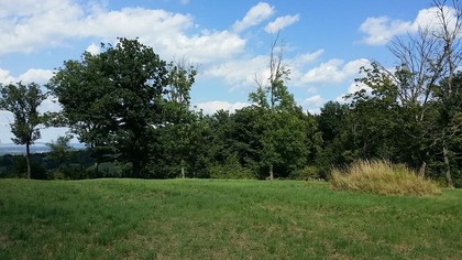 Jagd- und Forstwirtschaft in 3434 Wilfersdorf, Ollern Katzelsdorf Tulbinger Kogel