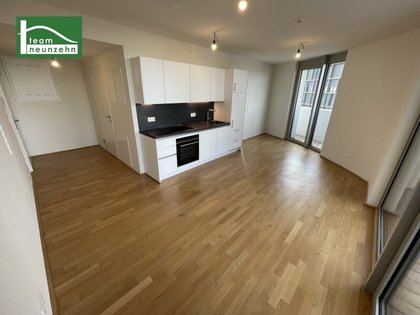 Terrassenwohnung in 1100 Wien, Quartier Belvedere, Wien Hauptbahnhof, Innenstadt