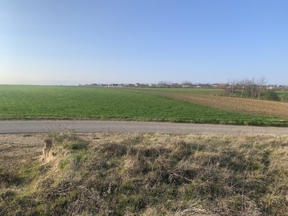 Wohnbauflächen in 2425 Nickelsdorf