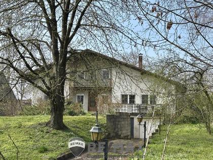 Einfamilienhaus in 2471 Schönabrunn, Prellenkirchen / Schloss Rohrau