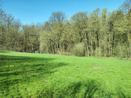 Wohnbauflächen in 3033 Altlengbach