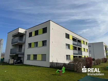 Wohnung in 5270 Mauerkirchen