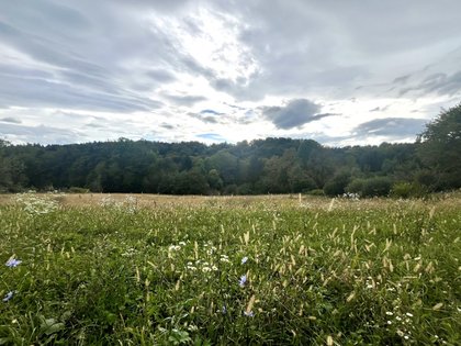 Wohnbauflächen in 8430 Leibnitz, Steiermark