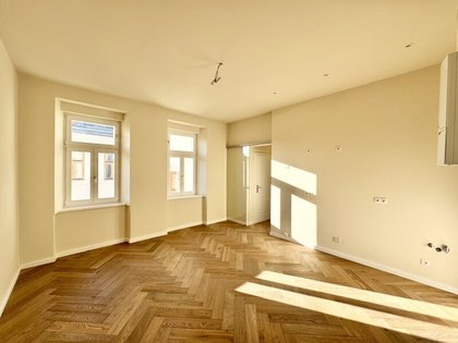 Wohnung in 1080 Wien, Albertgasse