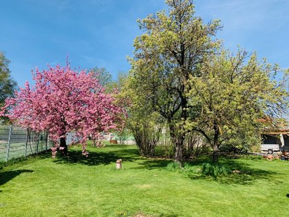Mehrfamilienhaus in 2130 Mistelbach, Naherholungsgebiet Zayawiesen, Stadt, Nahversorger, Freibad