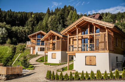 Chalet in 9431 St. Stefan