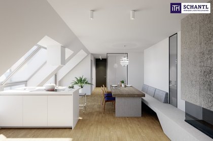 Terrassenwohnung in 1070 Wien, Spittelberg