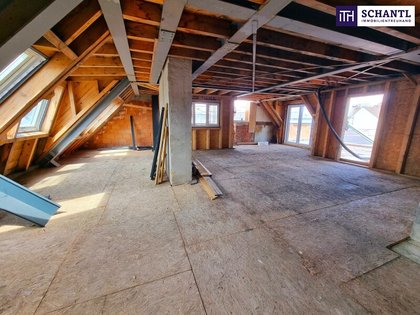 Terrassenwohnung in 1040 Wien, Wiedner Hauptstraße