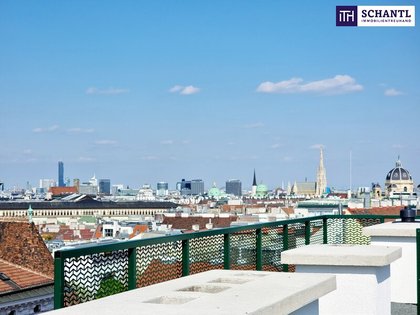 Terrassenwohnung in 1070 Wien, Spittelberg