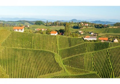 Terrassenwohnung in 8472 Straß in Steiermark