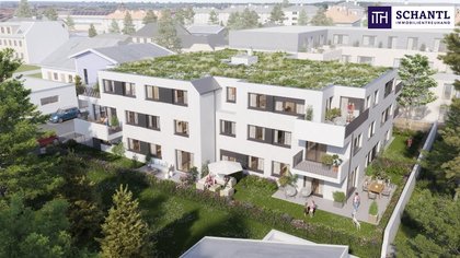Terrassenwohnung in 2320 Schwechat, Bahnhof & Hauptplatz Schwechat